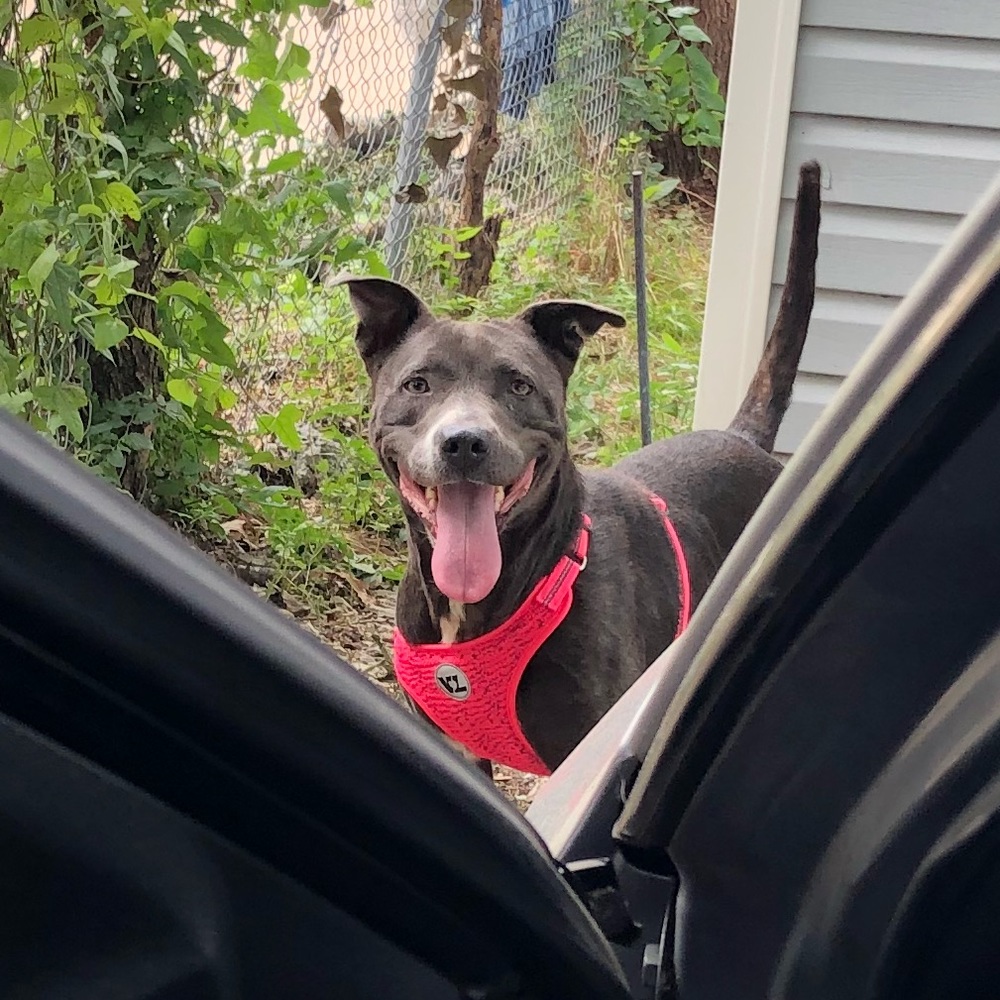 Meet your Posher, Joceline